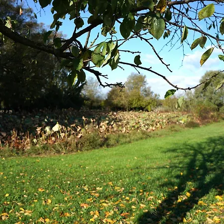 Venice Photobirding Tessera