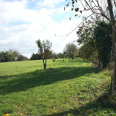 Dağ evi Venice Photobirding