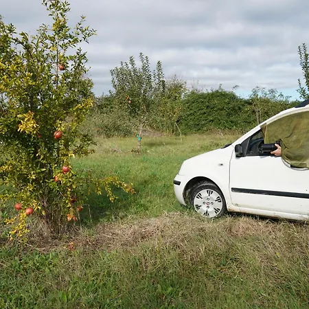 Venice Photobirding Dağ evi Tessera