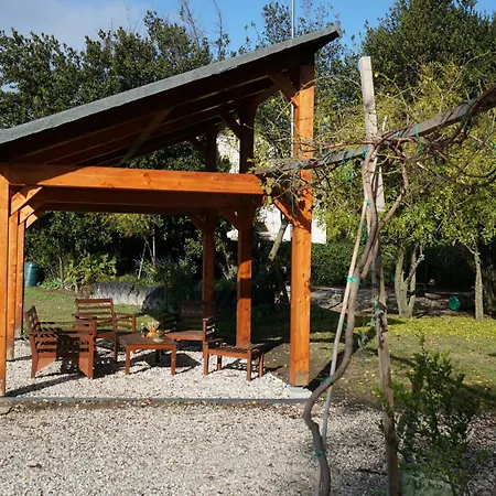 Venice Photobirding *