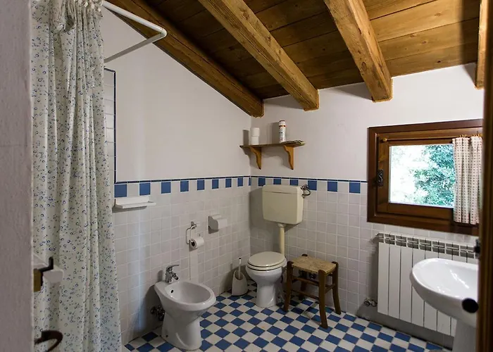 Venice Photobirding * Tessera