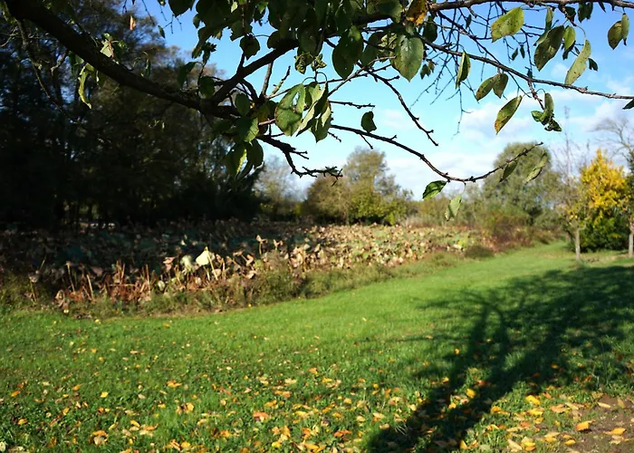 Venice Photobirding Tessera