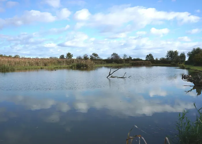 Venice Photobirding Dağ evi