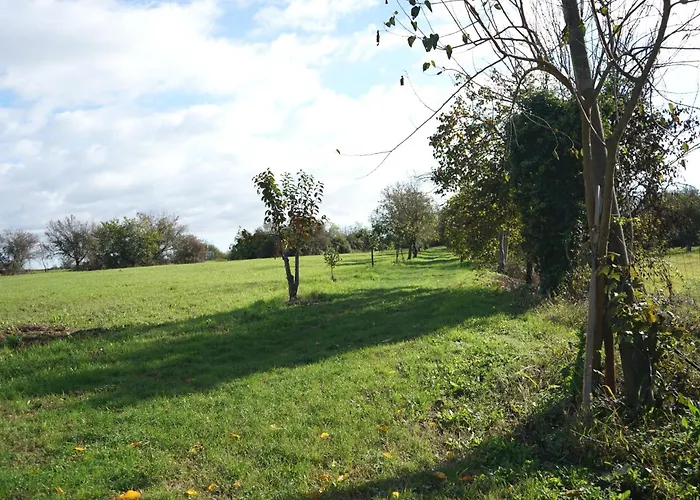 Dağ evi Venice Photobirding