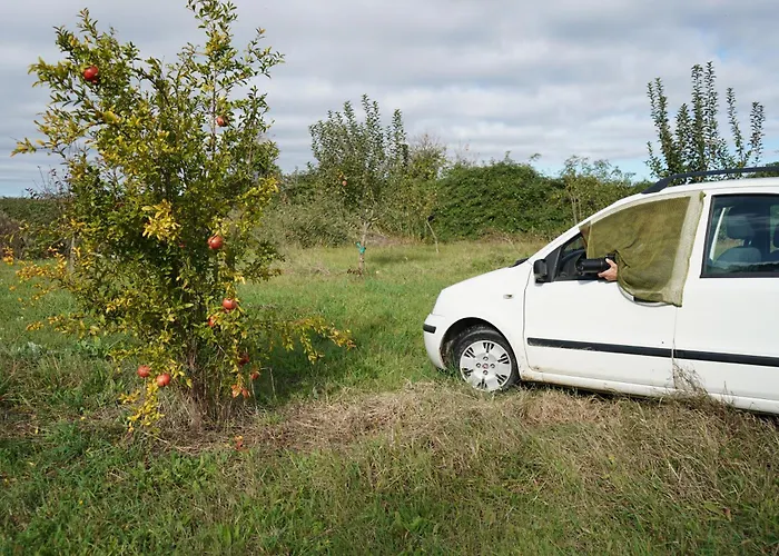 Venice Photobirding Dağ evi Tessera